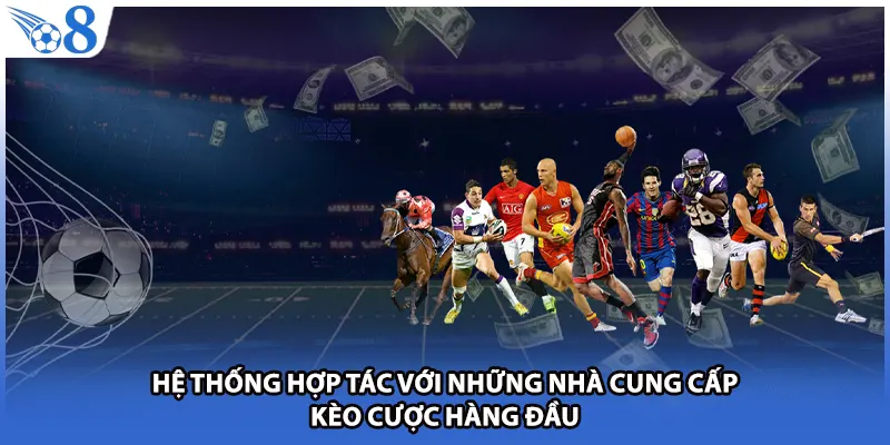 Hệ thống hợp tác với những nhà cung cấp kèo cược hàng đầu