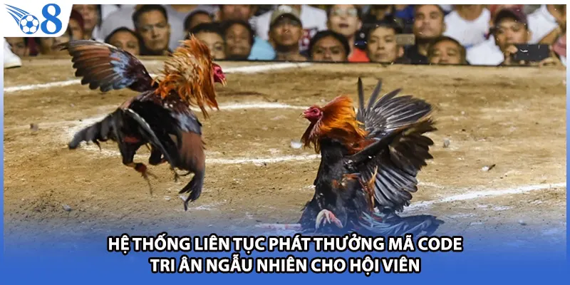 Hệ thống liên tục phát thưởng mã code tri ân ngẫu nhiên cho hội viên